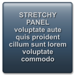 STRETCHY PANEL  voluptate aute quis proident cillum sunt lorem voluptate commodo